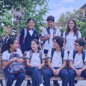 Curso en línea Acoso escolar y violencia de género